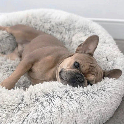 Plush Dog Bed