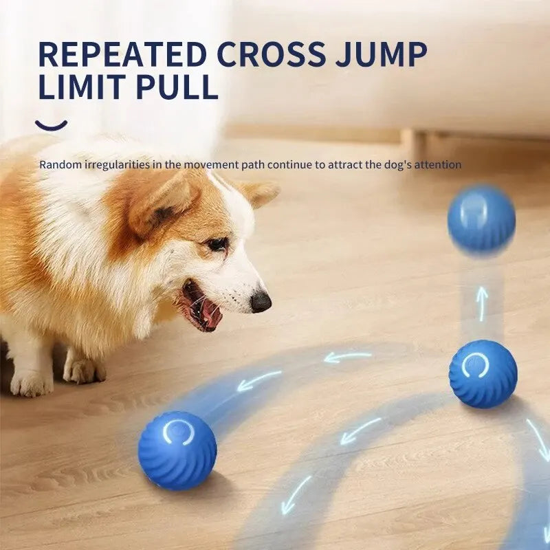 Self-moving Dog Ball