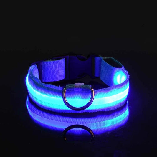 Glowing Dog Collar