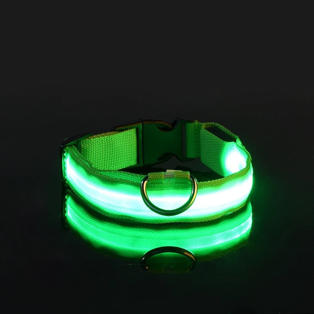 Glowing Dog Collar